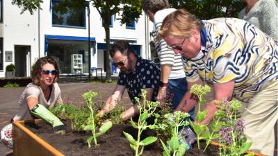 Agnesplein, verlevendigen