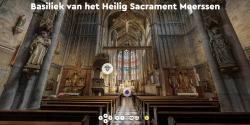 Basiliek 360 graden