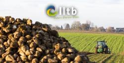 Bieten