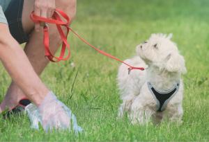 Controleweek honden