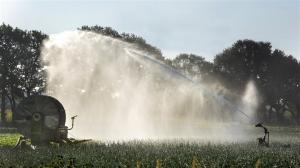 Droogte (bron: Waterschap Limburg)