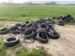 Dumping banden