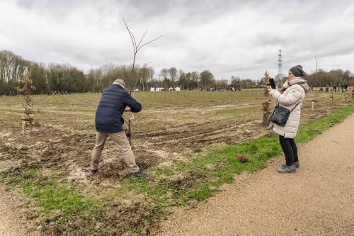 Herdenkingsbos - Bomen planten