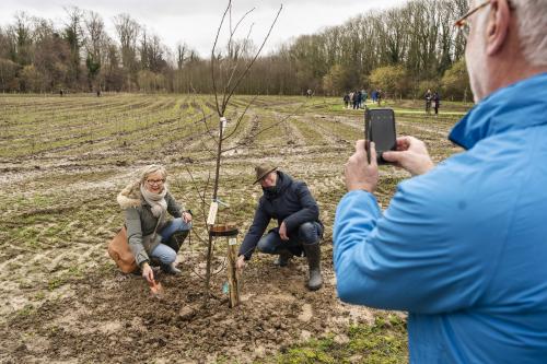 Herdenkingsbos - Bomen planten