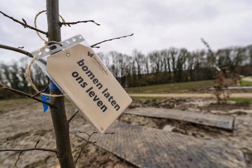 Herdenkingsbos - Bomen planten