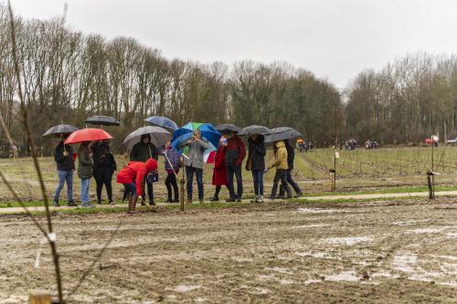 Herdenkingsbos - Middag