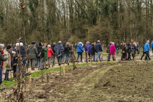 Herdenkingsbos - Overzichtsfoto