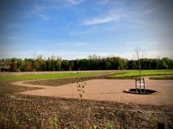 Herdenkingsbos Meerssen in aanleg