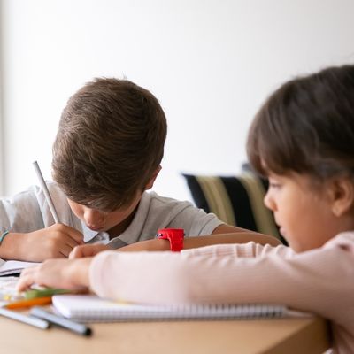 Kinderen Oekraïne aan het leren 