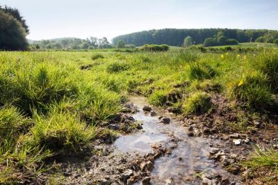 Limburgs Landschap