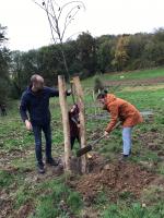 Meer bomen en biodiversiteit in Bunde Oost