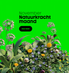 Natuurkracht logo