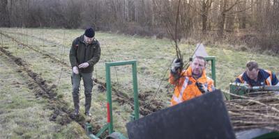 Staatsbosbeheer - aanplant van nieuw bos