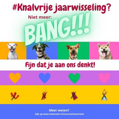 Vuurwerk - fijn dat je ook aan de dieren denkt