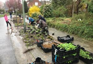 zaai en plantactie Bunde