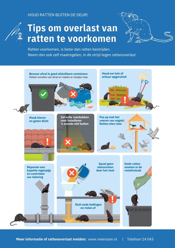 Infographic rattenoverlast Infographic rattenoverlast