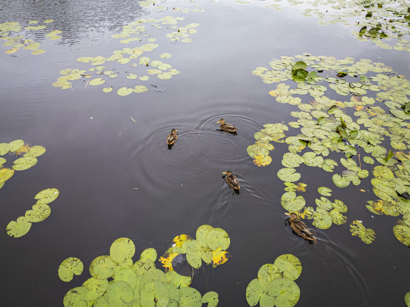 Onderzoek Waterschap Onderzoek Waterschap